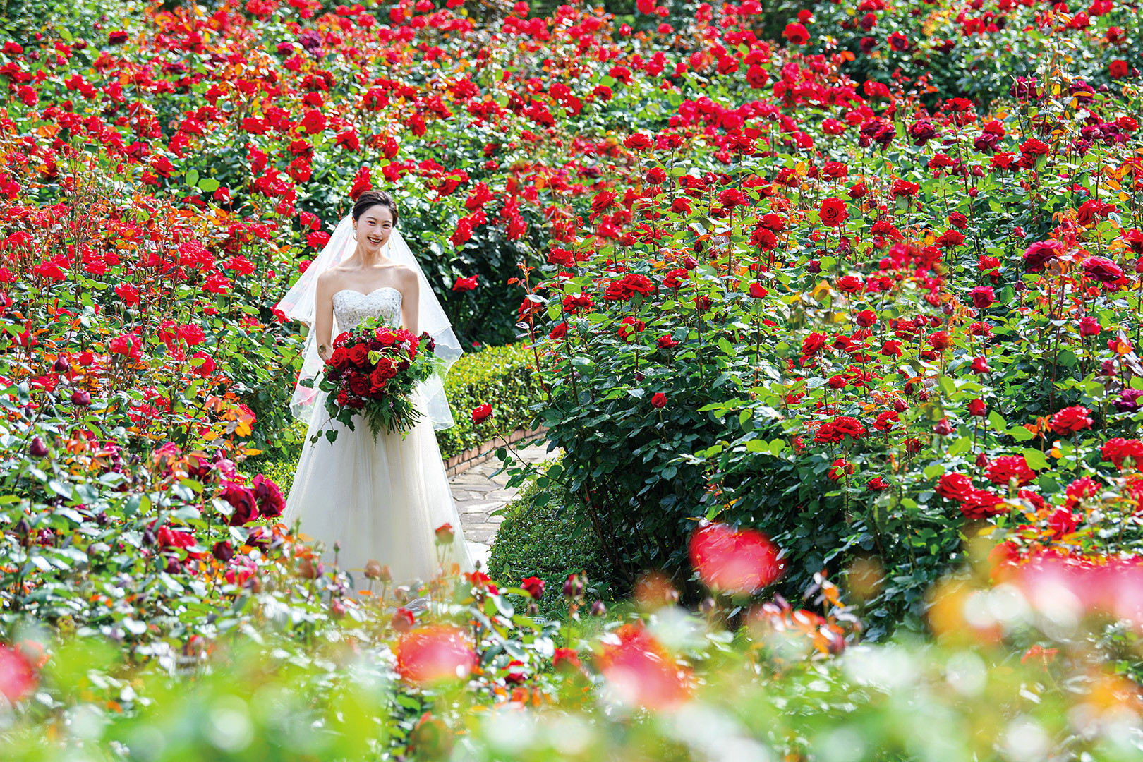 Red Rose Garden(レッドローズガーデン)