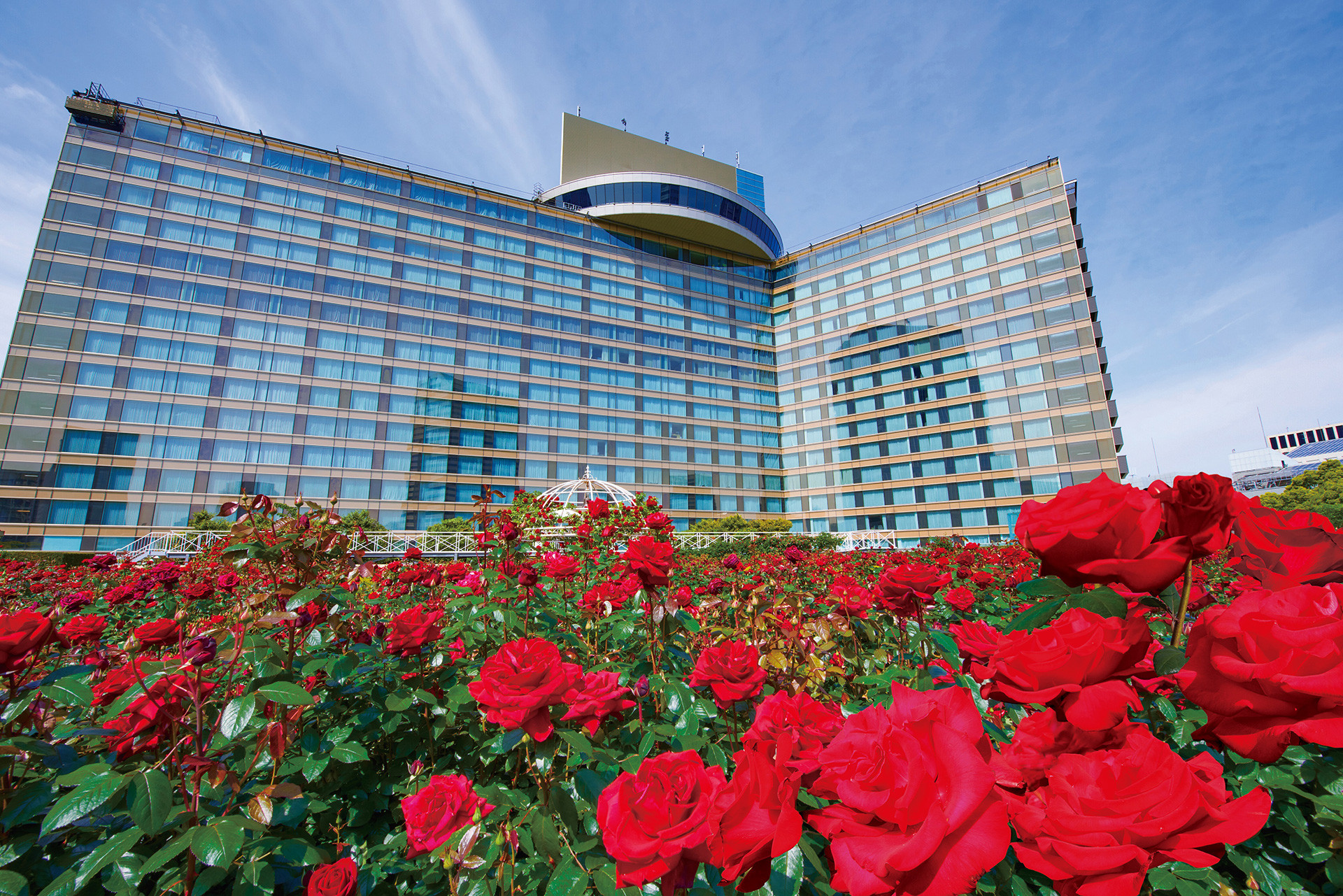 Rose Garden