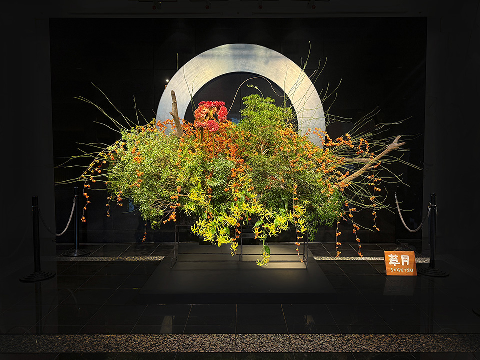10月 お迎え花