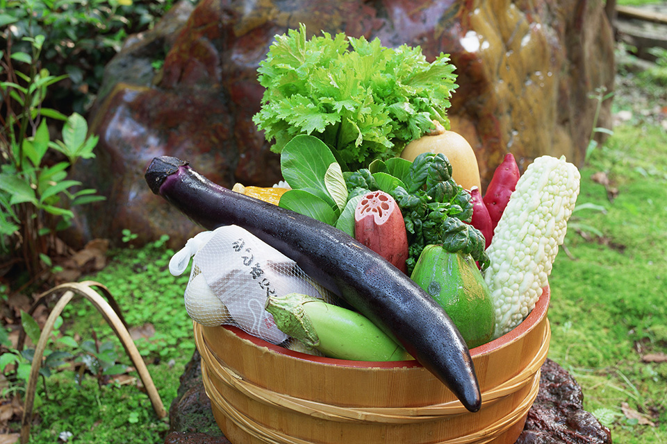 さまざまな野菜の写真