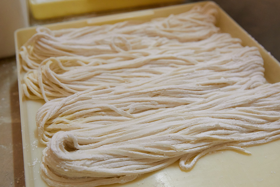 うどん画像