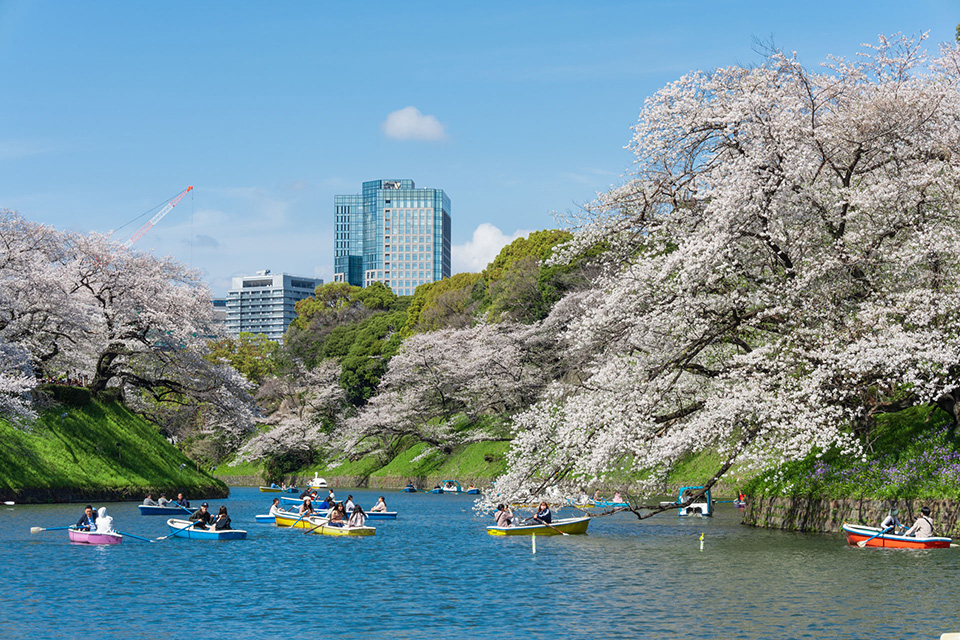 Chidorigafuchi