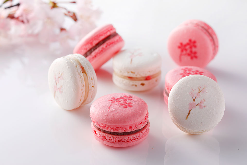 Sakura Macaron
