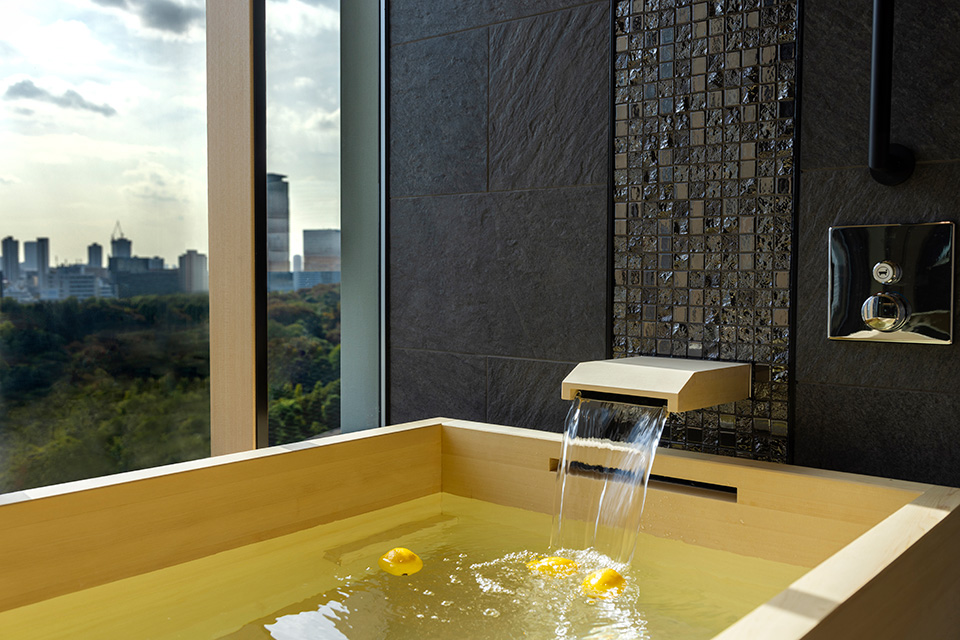 Shin-Edo Garden Suite
